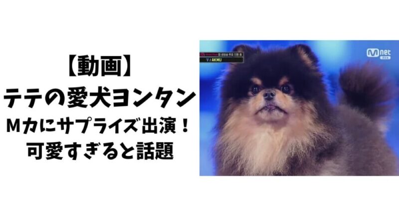【動画】テテの愛犬ヨンタンがMカにサプライズ出演！可愛すぎると話題