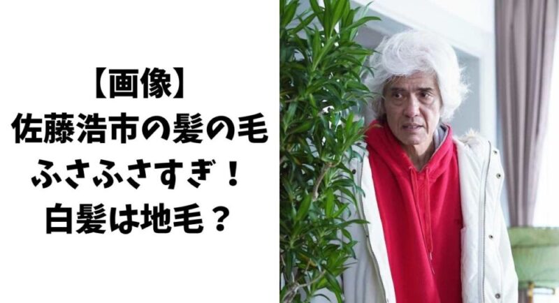 【画像】 佐藤浩市 髪の毛がふさふさすぎ！ 白髪は地毛なの？